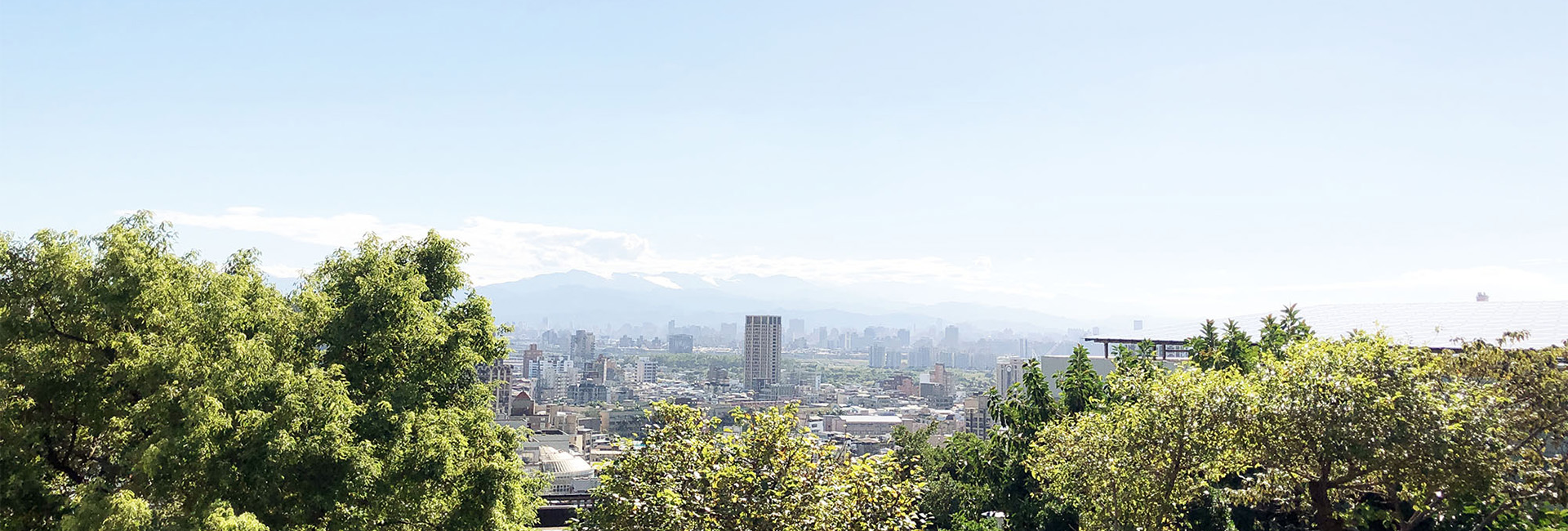 National Yang Ming Chiao Tung University College of Medicine