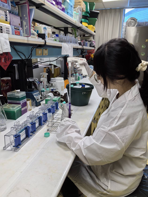 中藥醣質體研究中心將推動中藥多醣體研究朝向國際化、標準化與轉譯應用發展。圖陽明交大中藥醣質體研究中心提供